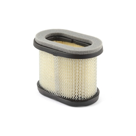 Briggs & Stratton Air Filter 697029